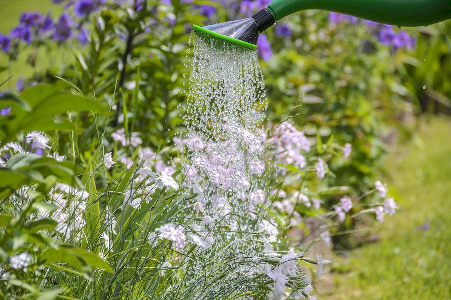 Gartenbewasserung