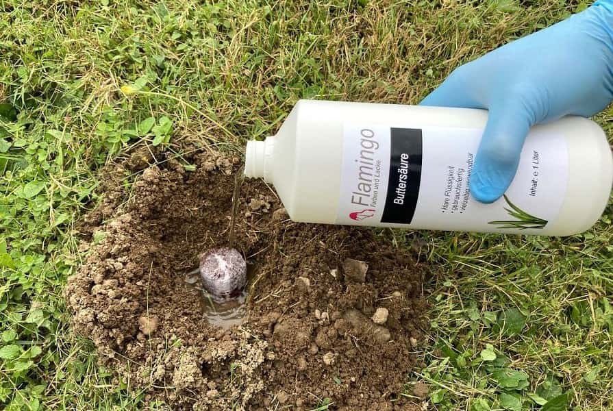 45+ Maulwurf Aus Garten Vertreiben, In diesem artikel werde ich dir