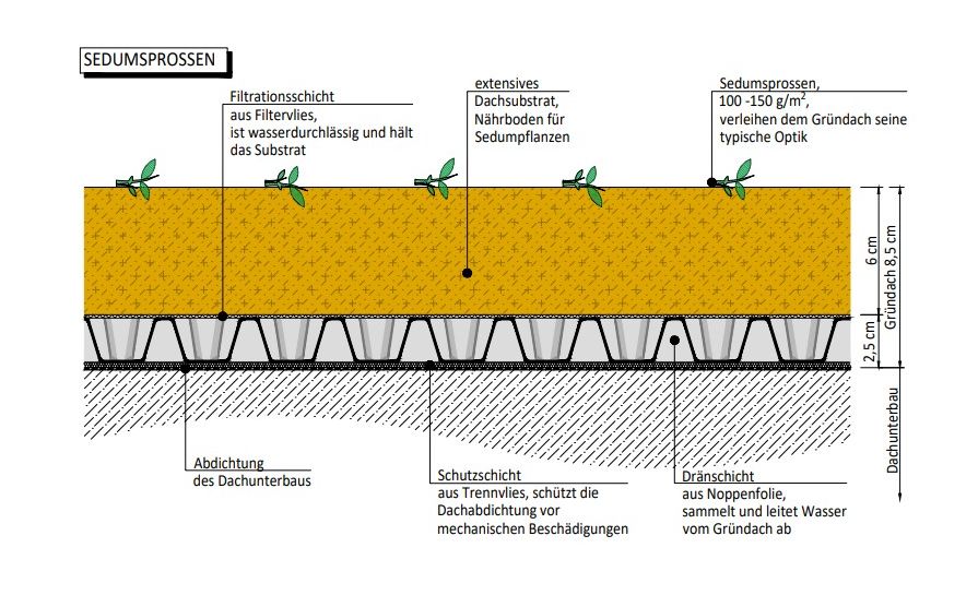 Aufbau eines Gründachs – Schema 2