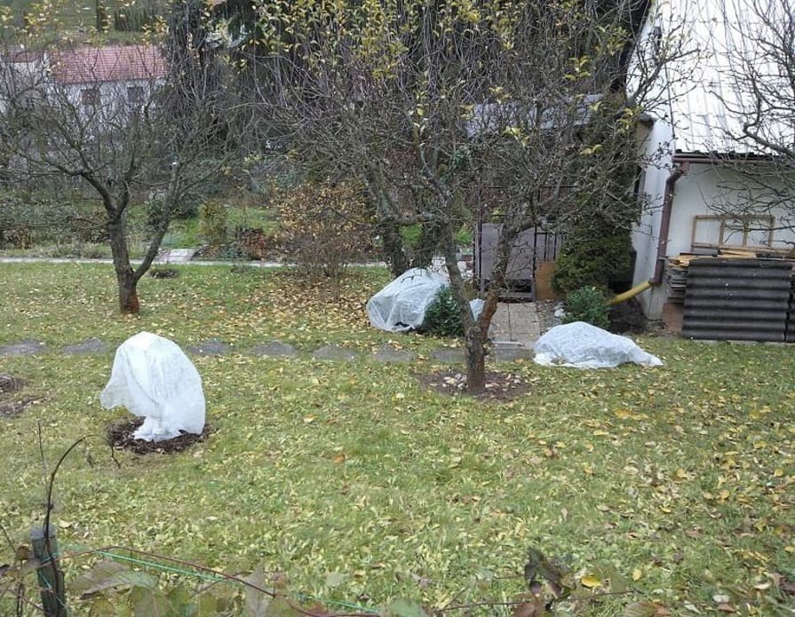 Garten und Pflanzen mit Winterschutz