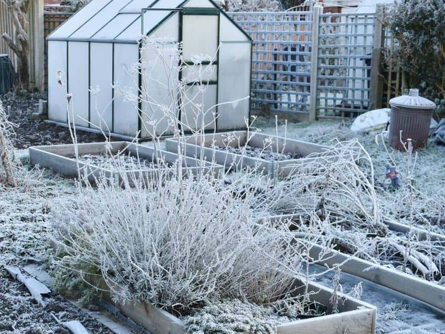 Kokos-Abdeckscheibe Blume grün Winterschutz Pflanzen