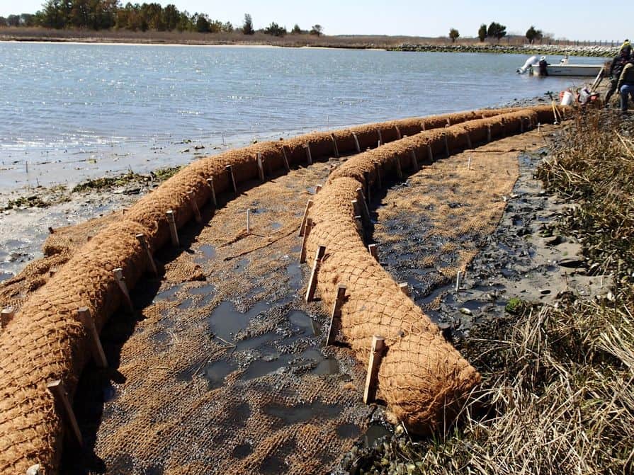 Kokoswalzen (Coir Logs) am Meeresufer