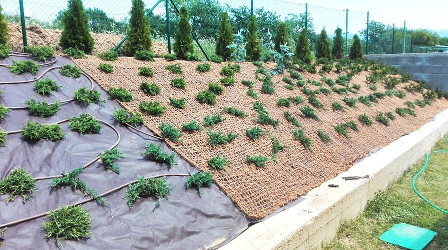 03-02_geotextil-netz-fuer-boeschung2_895x500