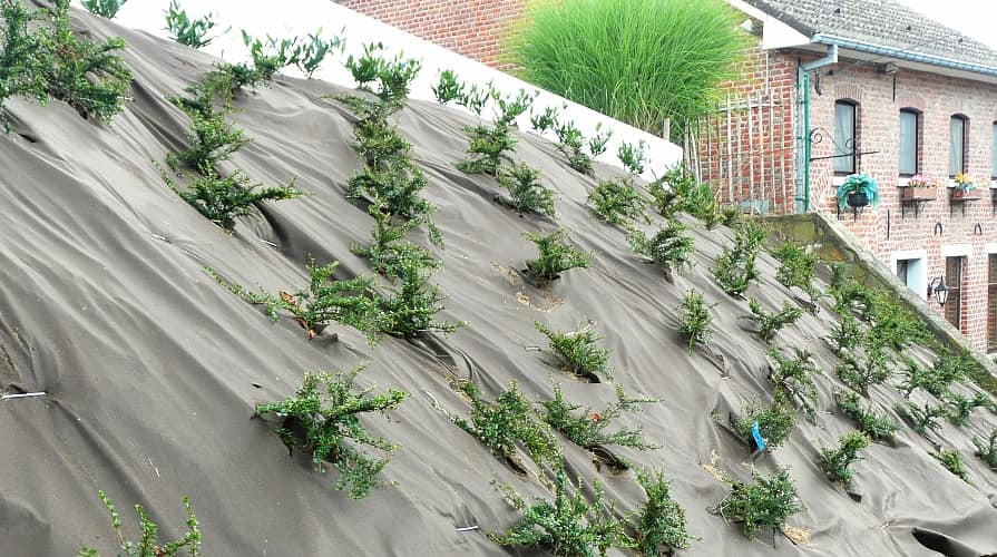 03-02_geotextil-netz-fuer-boeschung3_895x500