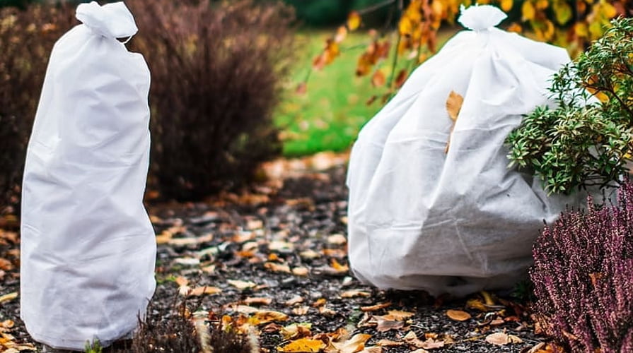 05-02_geotextil-gegen-frost_895x500