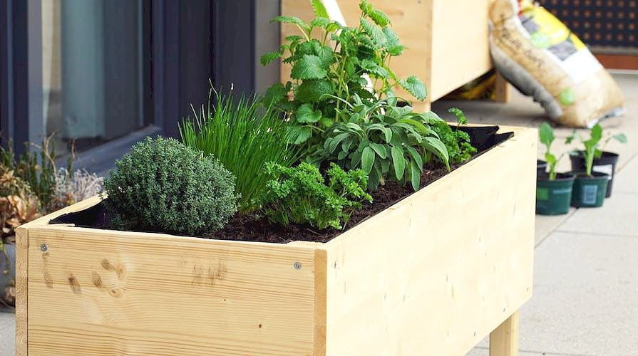 05-03_geotextil-fuer-hochbeete_895x500