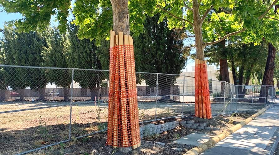 08-05_geotextil-schutz-stamm-baum_895x500