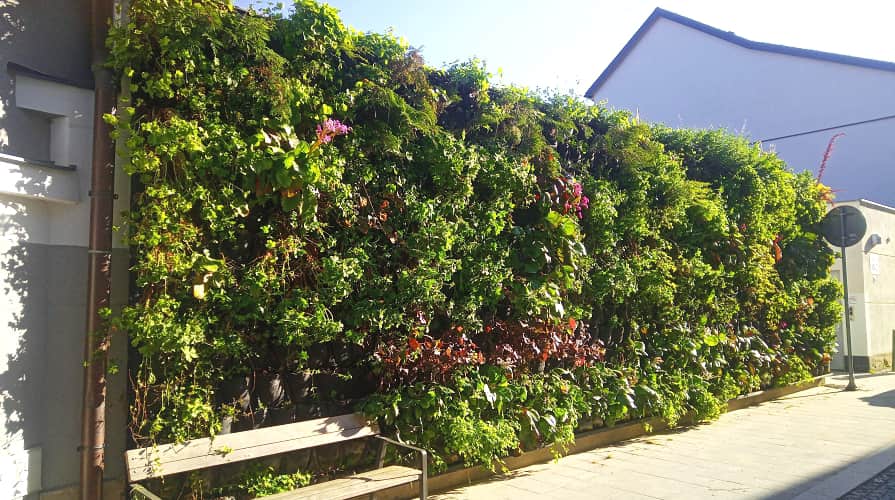 08-07_geotextil-vertikaler-garten_895x500