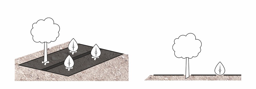 installation-geotextilien-pflanzung-gruenanlagen