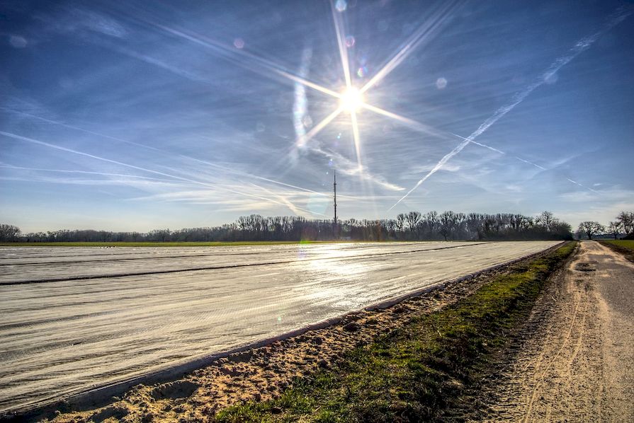 crops-covered-folios