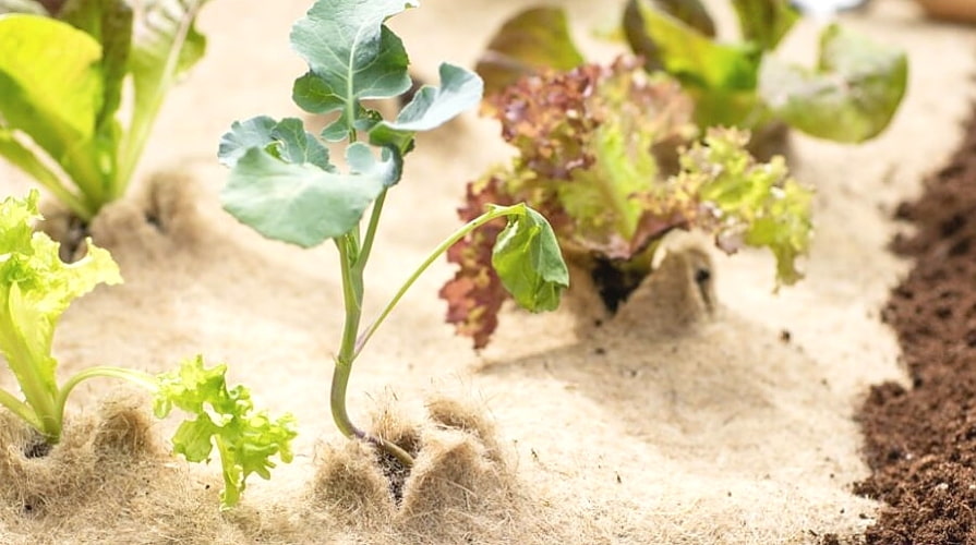 was-sind-geotextilien_02-gaerten-eko_895x500