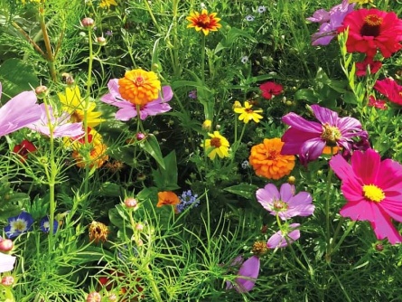 easygreen Power Flower