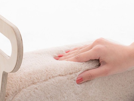 Holz Rutschauto und Lauflernwagen Bär