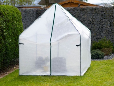 Peperoni 1,8 x 1,8 m