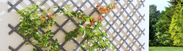 Rankhilfen und Rankgitter