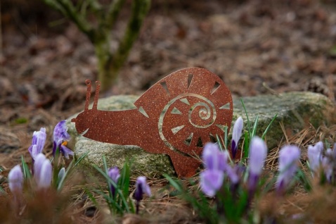Corgarden Zahradní dekorace Šnek 1051 28 x 19 cm Corten