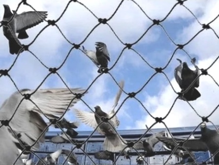 Birdnet K (60 g/m², Maschenweite 30×30 mm)