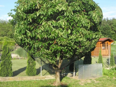 Birdnet R (25 g/m², Maschenweite 20×20 mm)