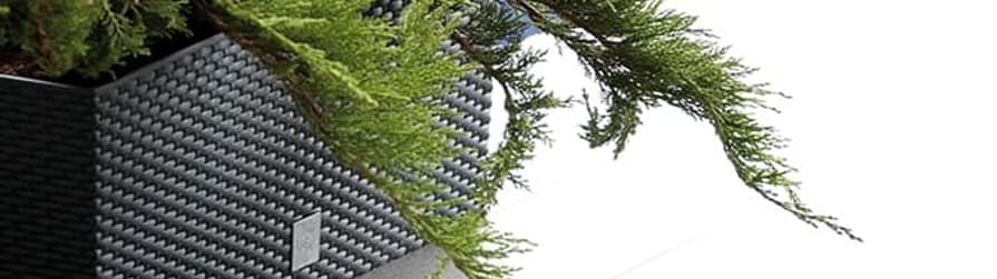 Blumenkästen online kaufen