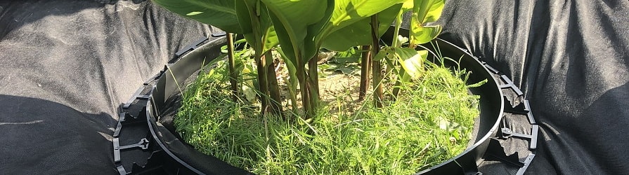 Rasenkante aus Kunststoff