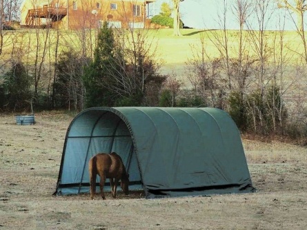 ShelterLogic Run-In-Shed Grün 4 × 6,1 m
