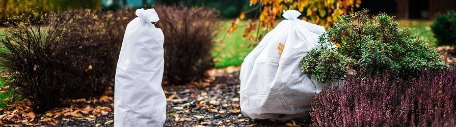 Winterschutz für Pflanzen
