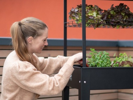 Herstera Garden Expert 52 l