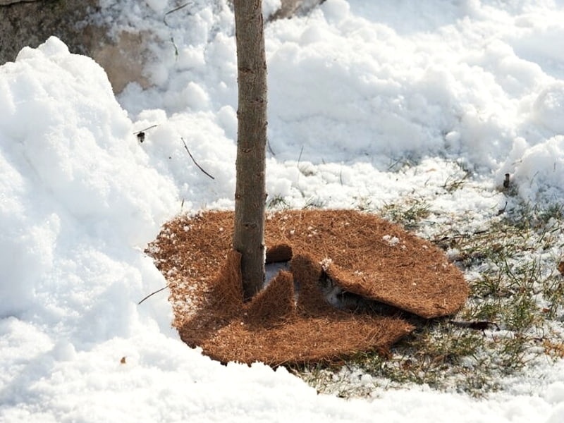 Kokosfaser-Mulchscheibe – Coir Fiber Ring