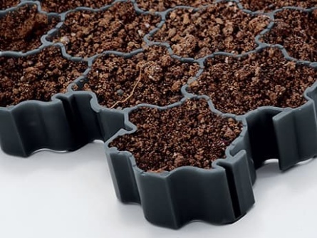 Plant (5 Stück pro Packung)