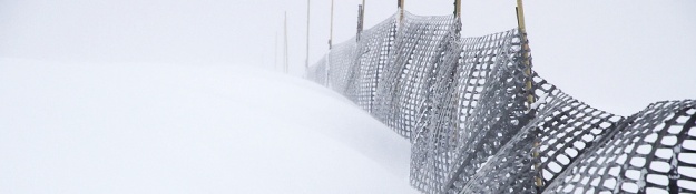 Schneefangzaun