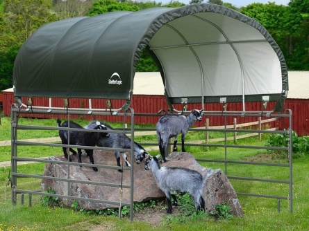 ShelterLogic 3,7 × 3,7 m