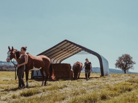 ShelterLogic Run-In-Shed 6,7 × 6,1 m