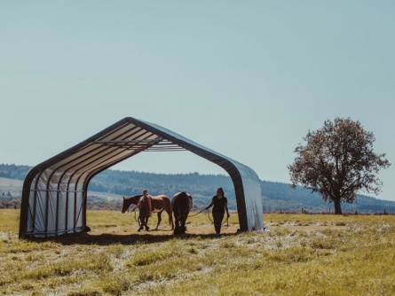 ShelterLogic Run-In-Shed 6,7 × 7,3 m
