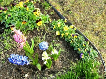 Steel Border (0,7 mm)