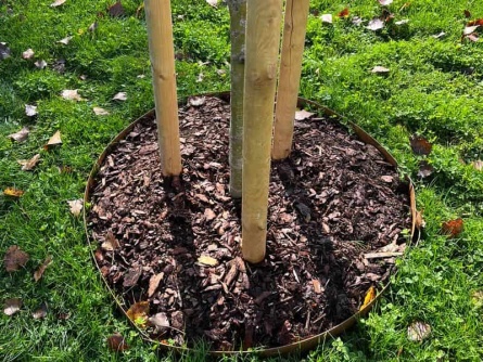 Steel Border Rust S 1,5/100 (1,5 mm)